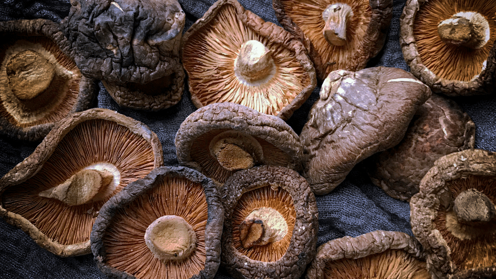 dried shiitake mushrooms