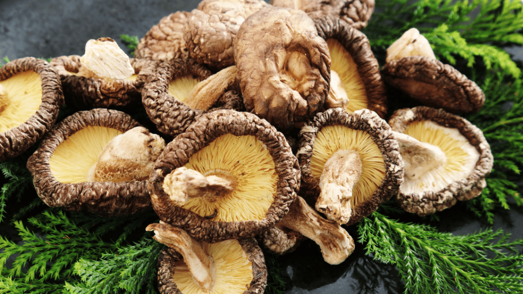 pile of shiitake and greens