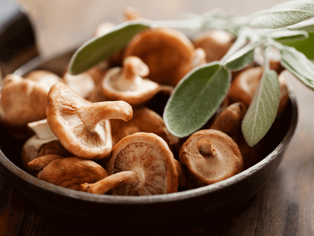 shiitake mushrooms in a bowl