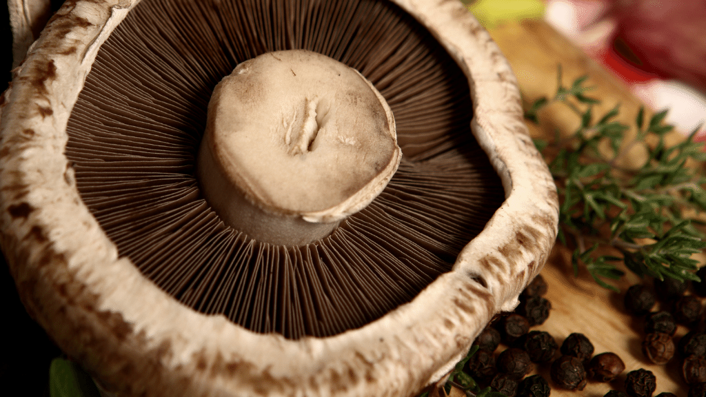 agaricus gourmet mushrooms