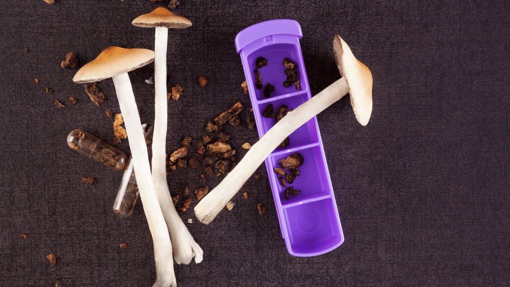 psychedelic mushrooms as medicine