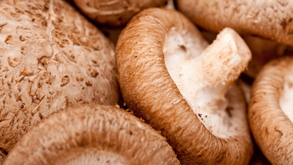 shiitake mushroom for diet
