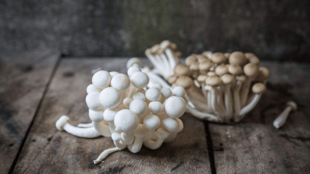 white and brown beech mushrooms