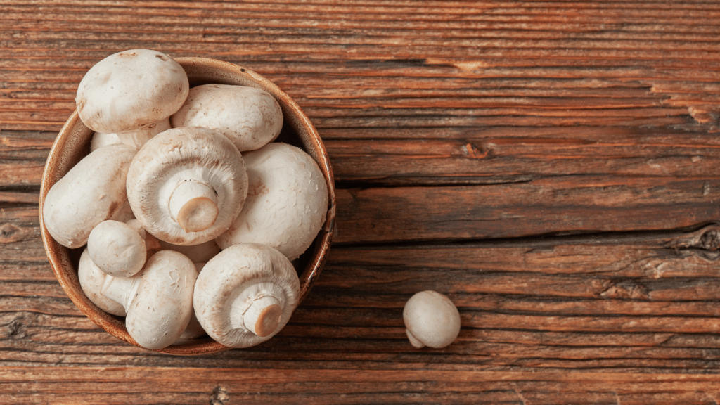 white common button mushroom