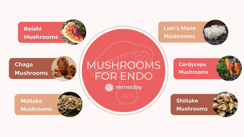 Mushrooms for Endometriosis Infographic