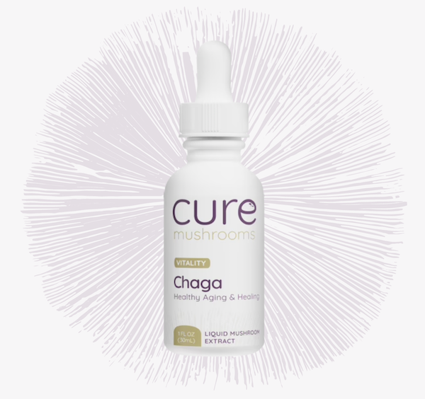 Cure Mushrooms with Spore Print Chaga Tincture