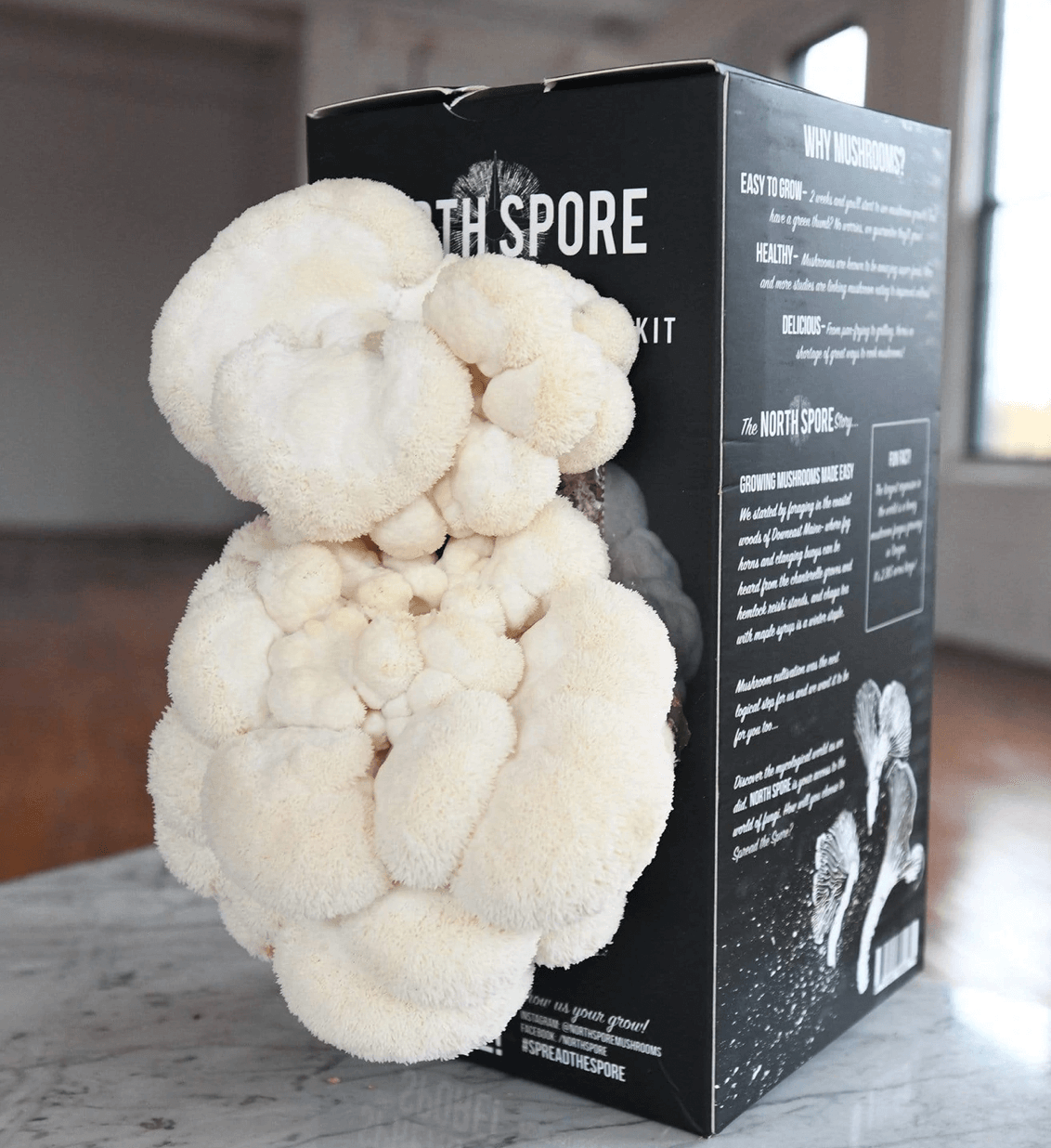 North Spore Lions Mane Spray & Grow Kit