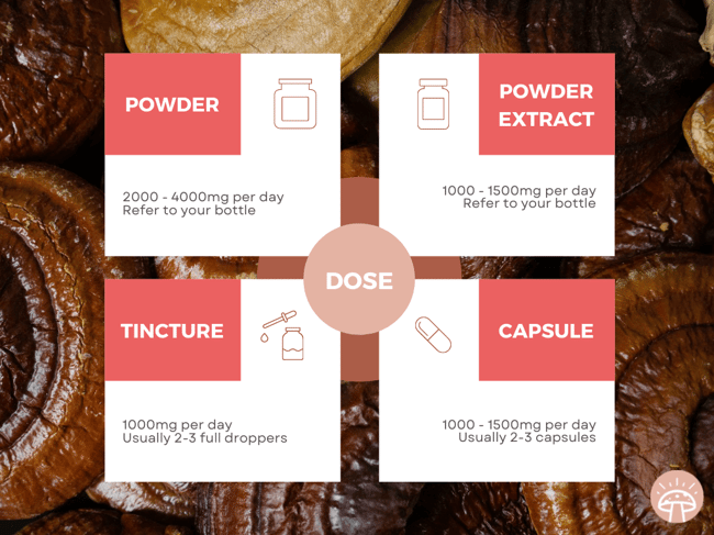 Reishi dosage graphic for powders, tinctures, and capsules