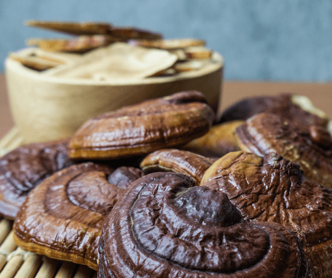 reishi mushrooms dried on a table