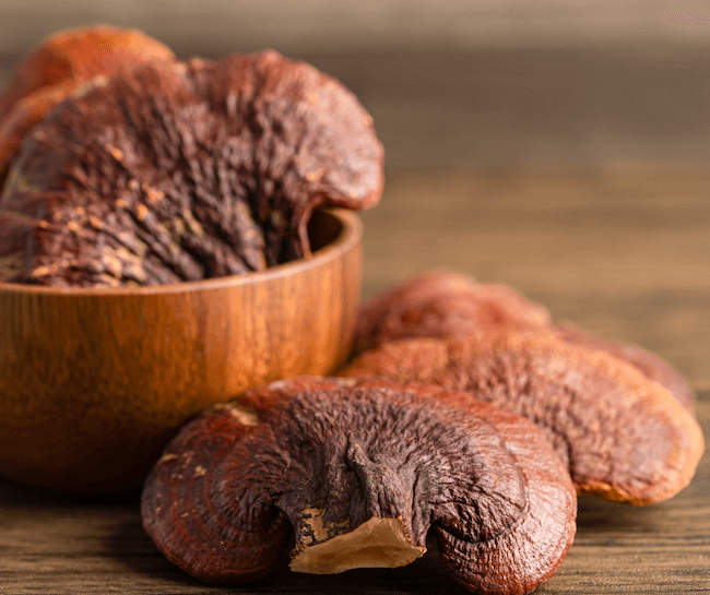 Harvested reishi in a wooden bowl