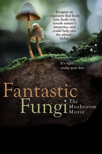 Fantastic Fungi Documentary Cover