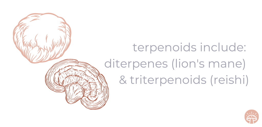 diterpens and triterpenoids graphic