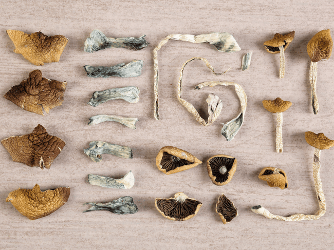 dried magic mushrooms on a table