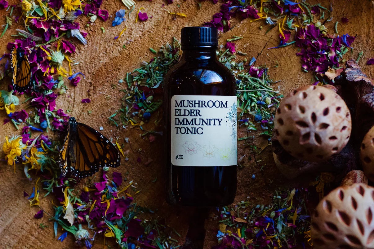 Mushroom Elder Immunity Tonic