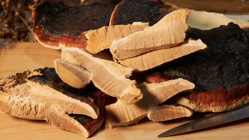 reishi sliced mushroom