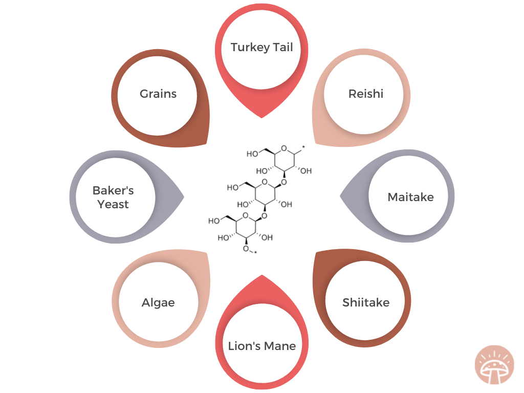 sources of beta-glucans graphic