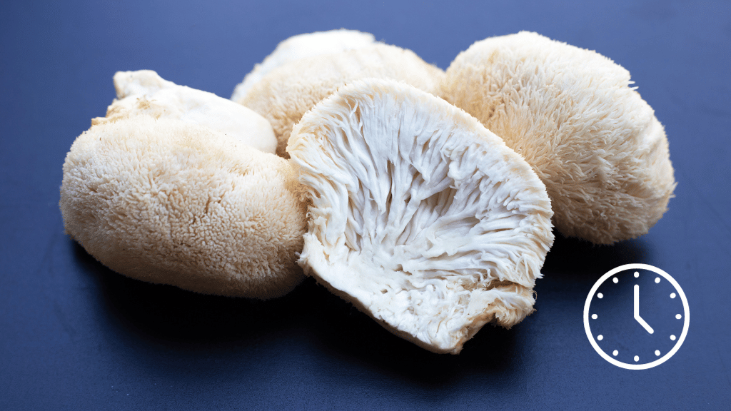 lion's mane mushroom