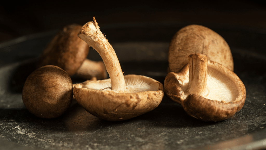 shiitake mushrooms for tea