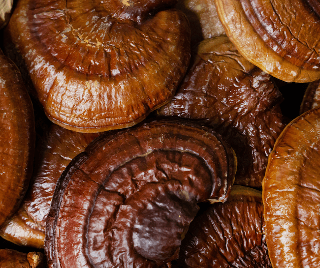 Reishi mushrooms from China