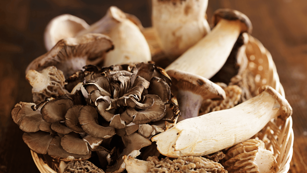 gourmet mushrooms in a bowl