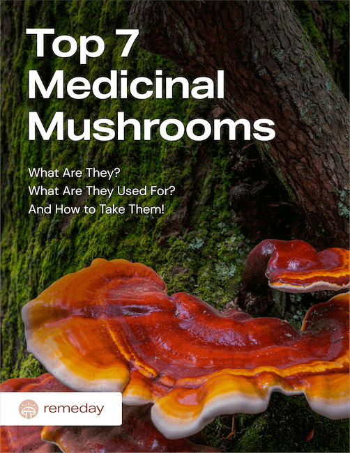 Top 7 Medicinal Mushrooms eBook Cover