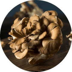 maitake icon