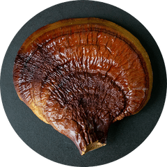 reishi icon