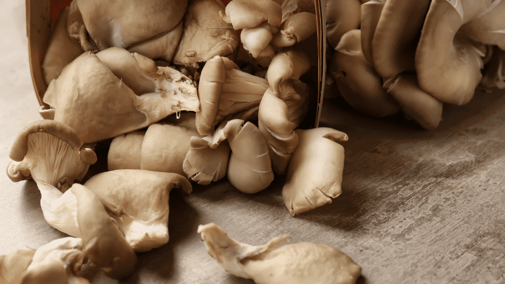 mushrooms in a basket