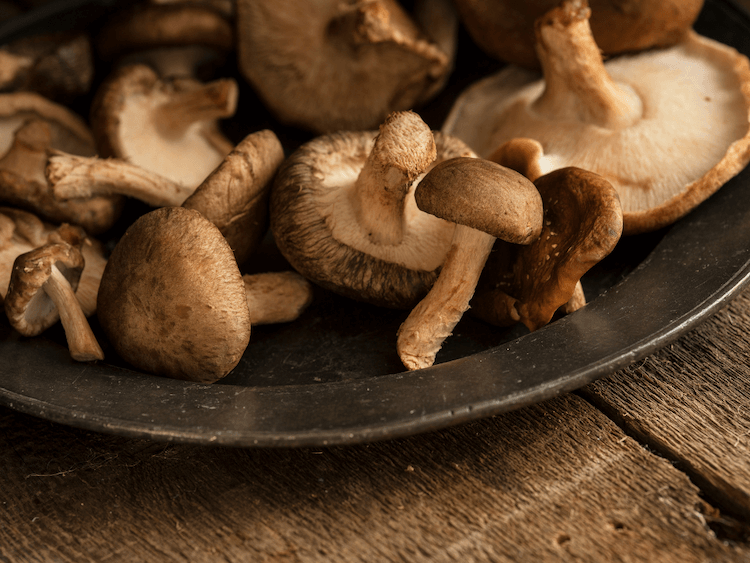 shiitake mushrooms on a plate
